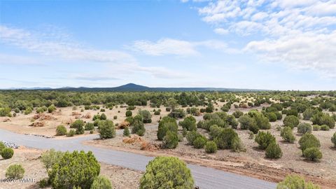 Tiny photo for TBD N 40th Street, Show Low, AZ 85901 (MLS # 259609)