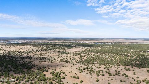 Tiny photo for TBD N 40th Street, Show Low, AZ 85901 (MLS # 259609)