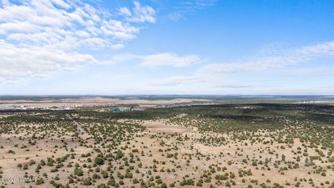 Tiny photo for TBD N 40th Street, Show Low, AZ 85901 (MLS # 259609)