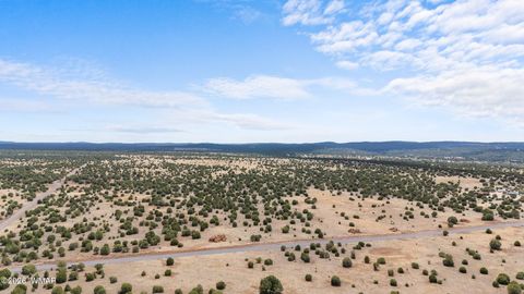 Tiny photo for TBD N 40th Street, Show Low, AZ 85901 (MLS # 259609)