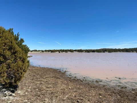 Tiny photo for TBD N 40th Street, Show Low, AZ 85901 (MLS # 259609)