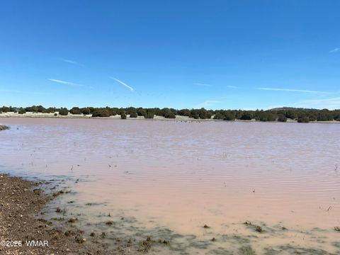 Tiny photo for TBD N 40th Street, Show Low, AZ 85901 (MLS # 259609)