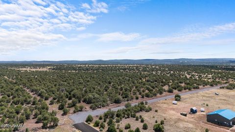 Tiny photo for TBD N 40th Street, Show Low, AZ 85901 (MLS # 259609)