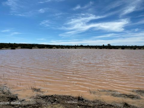 Tiny photo for TBD N 40th Street, Show Low, AZ 85901 (MLS # 259609)