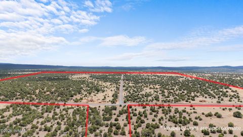 Photo of TBD N 40th Street, Show Low, AZ 85901 (MLS # 259609)
