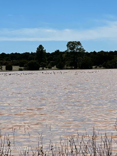 Tiny photo for TBD N 40th Street, Show Low, AZ 85901 (MLS # 259609)