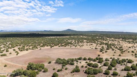 Tiny photo for TBD N 40th Street, Show Low, AZ 85901 (MLS # 259609)