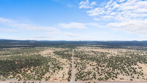 Tiny photo for TBD N 40th Street, Show Low, AZ 85901 (MLS # 259609)