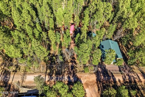 Tiny photo for 30 County Road 2066, Alpine, AZ 85920 (MLS # 258918)