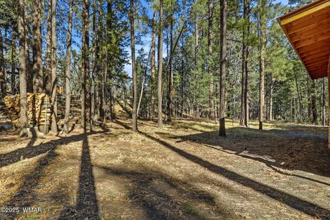 Tiny photo for 30 County Road 2066, Alpine, AZ 85920 (MLS # 258918)