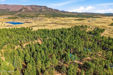 Tiny photo for 30 County Road 2066, Alpine, AZ 85920 (MLS # 258918)