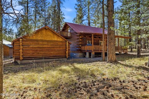Tiny photo for 30 County Road 2066, Alpine, AZ 85920 (MLS # 258918)