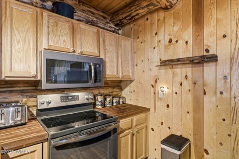 Tiny photo for 30 County Road 2066, Alpine, AZ 85920 (MLS # 258918)