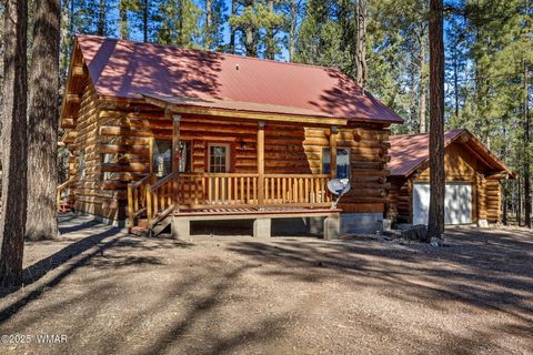 Tiny photo for 30 County Road 2066, Alpine, AZ 85920 (MLS # 258918)