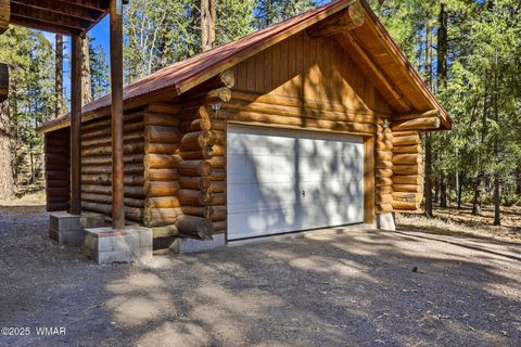 Tiny photo for 30 County Road 2066, Alpine, AZ 85920 (MLS # 258918)