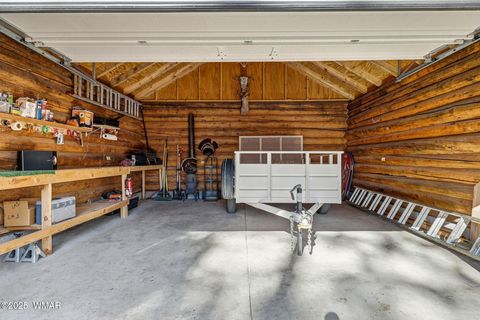 Tiny photo for 30 County Road 2066, Alpine, AZ 85920 (MLS # 258918)