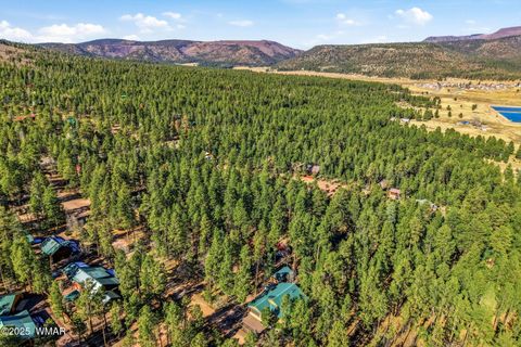 Tiny photo for 30 County Road 2066, Alpine, AZ 85920 (MLS # 258918)