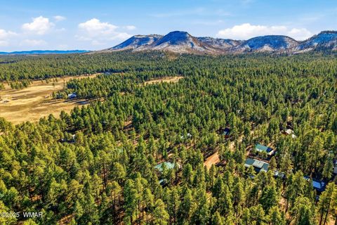Tiny photo for 30 County Road 2066, Alpine, AZ 85920 (MLS # 258918)