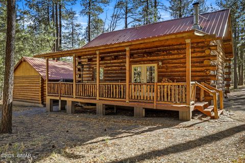 Tiny photo for 30 County Road 2066, Alpine, AZ 85920 (MLS # 258918)
