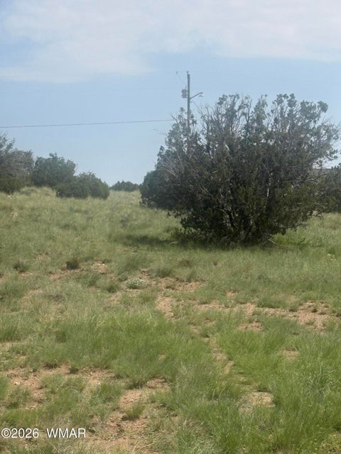 Tiny photo for 145 Zuni Drive, Concho, AZ 85924 (MLS # 262638)