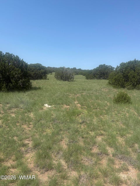 Photo of 145 Zuni Drive, Concho, AZ 85924 (MLS # 262638)