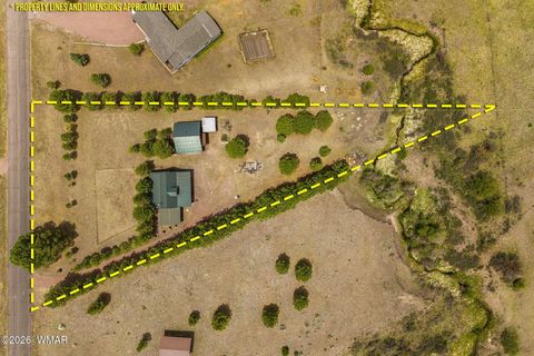 Tiny photo for 84 County Road 2180, Nutrioso, AZ 85932 (MLS # 261130)