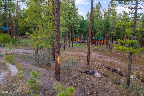 Tiny photo for 7 Eric lane, Alpine, AZ 85920 (MLS # 258160)
