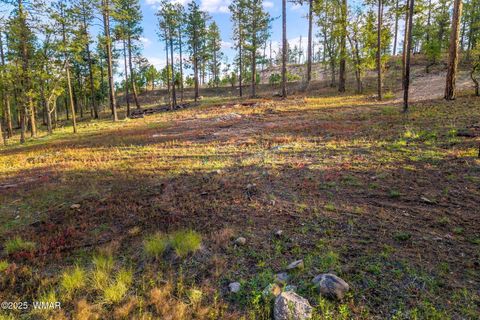 Tiny photo for 7 Eric lane, Alpine, AZ 85920 (MLS # 258160)