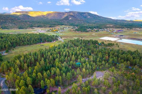 Tiny photo for 7 Eric lane, Alpine, AZ 85920 (MLS # 258160)