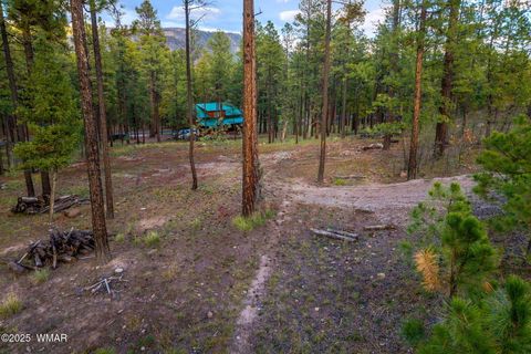 Tiny photo for 7 Eric lane, Alpine, AZ 85920 (MLS # 258160)