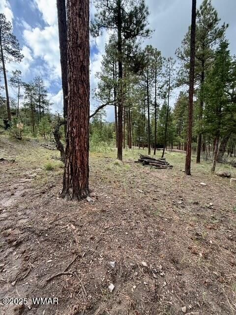 Tiny photo for 7 Eric lane, Alpine, AZ 85920 (MLS # 258160)