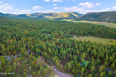 Tiny photo for 7 Eric lane, Alpine, AZ 85920 (MLS # 258160)