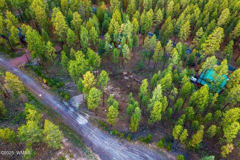 Tiny photo for 7 Eric lane, Alpine, AZ 85920 (MLS # 258160)