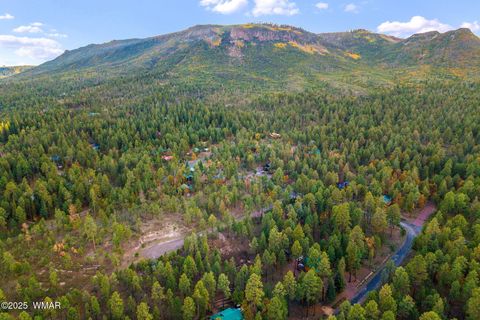 Tiny photo for 7 Eric lane, Alpine, AZ 85920 (MLS # 258160)