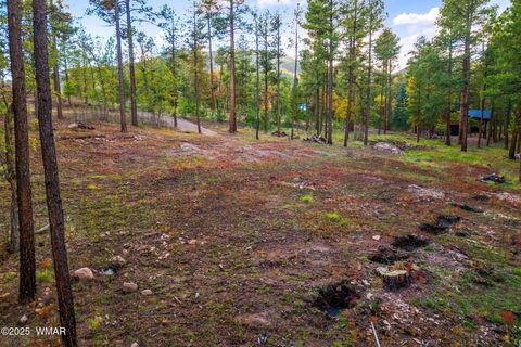 Tiny photo for 7 Eric lane, Alpine, AZ 85920 (MLS # 258160)