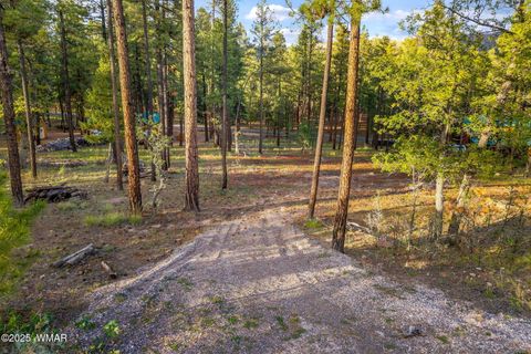 Tiny photo for 7 Eric lane, Alpine, AZ 85920 (MLS # 258160)