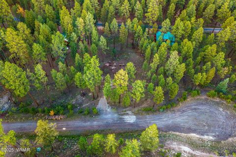 Tiny photo for 7 Eric lane, Alpine, AZ 85920 (MLS # 258160)