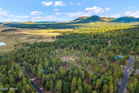 Tiny photo for 7 Eric lane, Alpine, AZ 85920 (MLS # 258160)