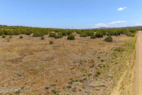Tiny photo for 10 Co Road, Vernon, AZ 85940 (MLS # 261110)