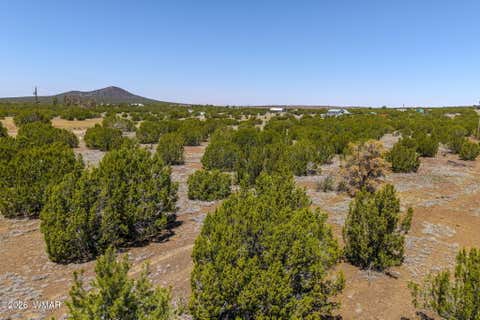 Tiny photo for 10 Co Road, Vernon, AZ 85940 (MLS # 261110)