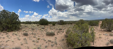 Tiny photo for 3939 Apache RD, Snowflake, AZ 85937 (MLS # 262139)