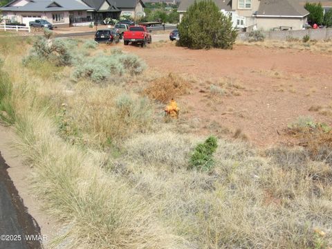Tiny photo for 261 S Cedar Dr Dr, Snowflake, AZ 85937 (MLS # 257550)