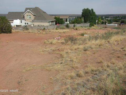 Photo of 261 S Cedar Dr Dr, Snowflake, AZ 85937 (MLS # 257550)