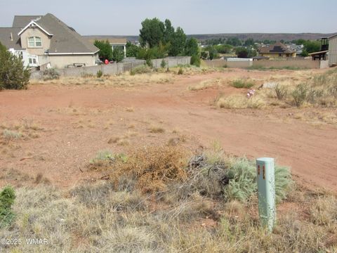 Tiny photo for 261 S Cedar Dr Dr, Snowflake, AZ 85937 (MLS # 257550)