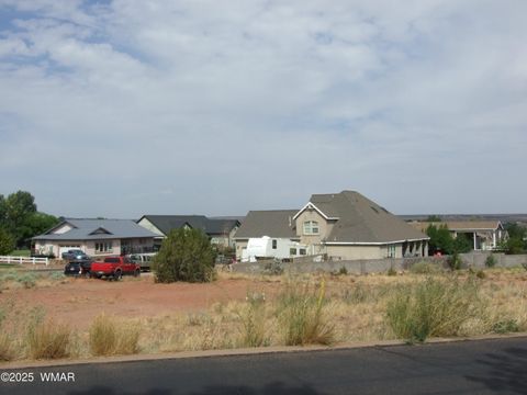 Tiny photo for 261 S Cedar Dr Dr, Snowflake, AZ 85937 (MLS # 257550)