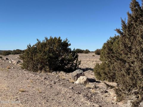 Tiny photo for 0 TBD 203-67-011, Saint Johns, AZ 85936 (MLS # 259014)