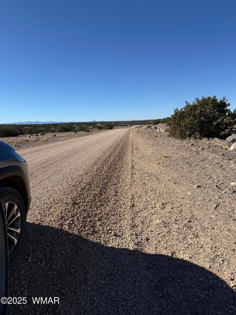 Tiny photo for 0 TBD 203-67-011, Saint Johns, AZ 85936 (MLS # 259014)