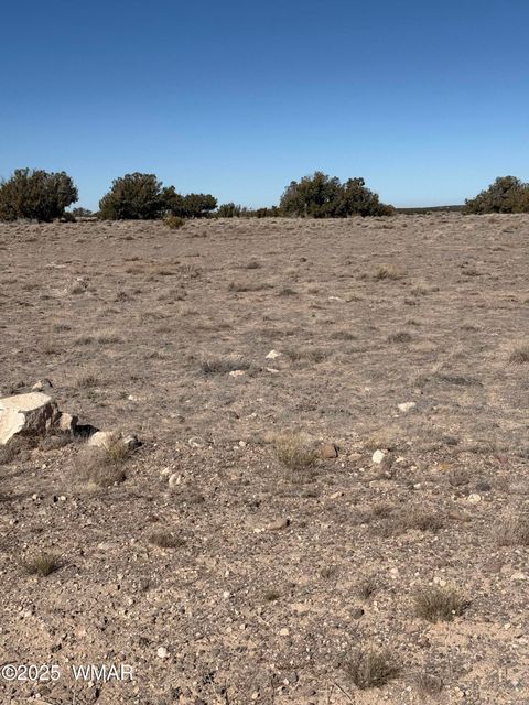Tiny photo for 0 TBD 203-67-011, Saint Johns, AZ 85936 (MLS # 259014)