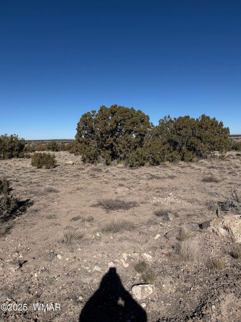 Tiny photo for 0 TBD 203-67-011, Saint Johns, AZ 85936 (MLS # 259014)