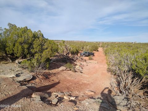 Tiny photo for 8938 Buffalo Ridge Lane, White Mountain Lake, AZ 85912 (MLS # 258926)